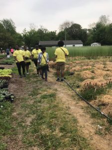 FHC youth at indy urban acres